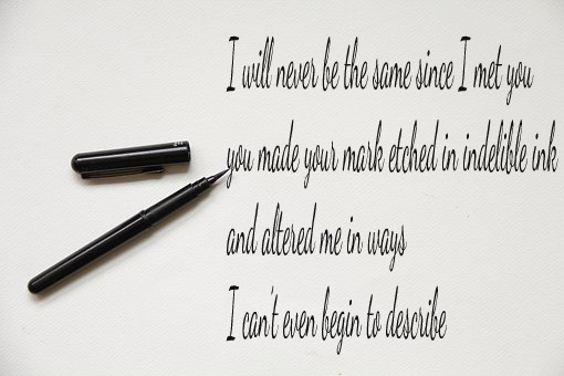 tmp_19691-never the same769611808