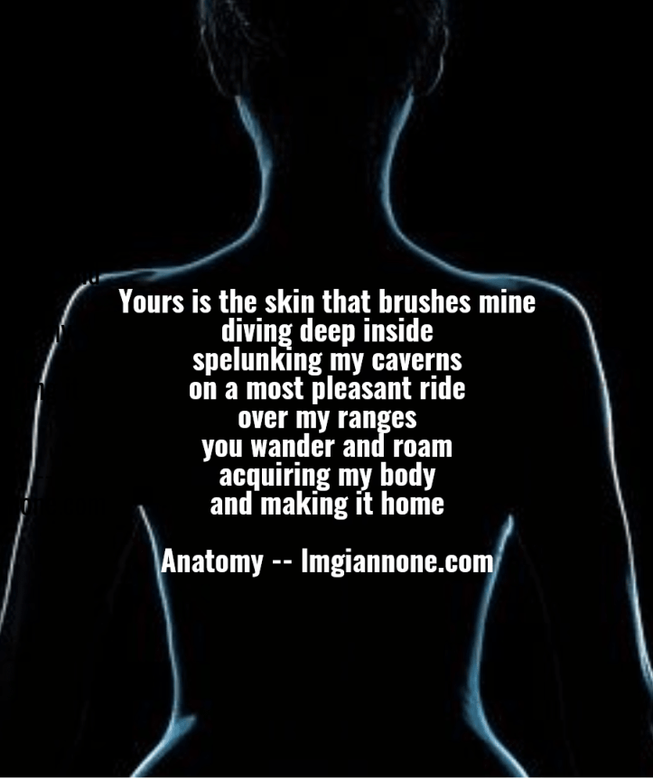 anatomy-1-5a2d93aa40792