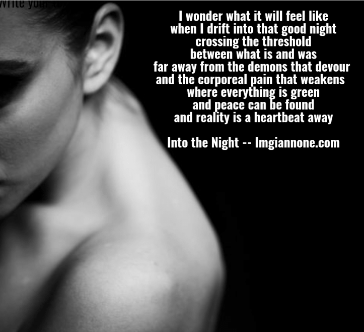 into-the-night-1-5a400c69dd04b