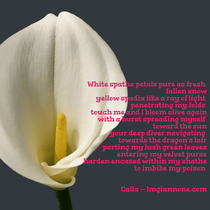 calla-rerun-1-5a8628ba88076