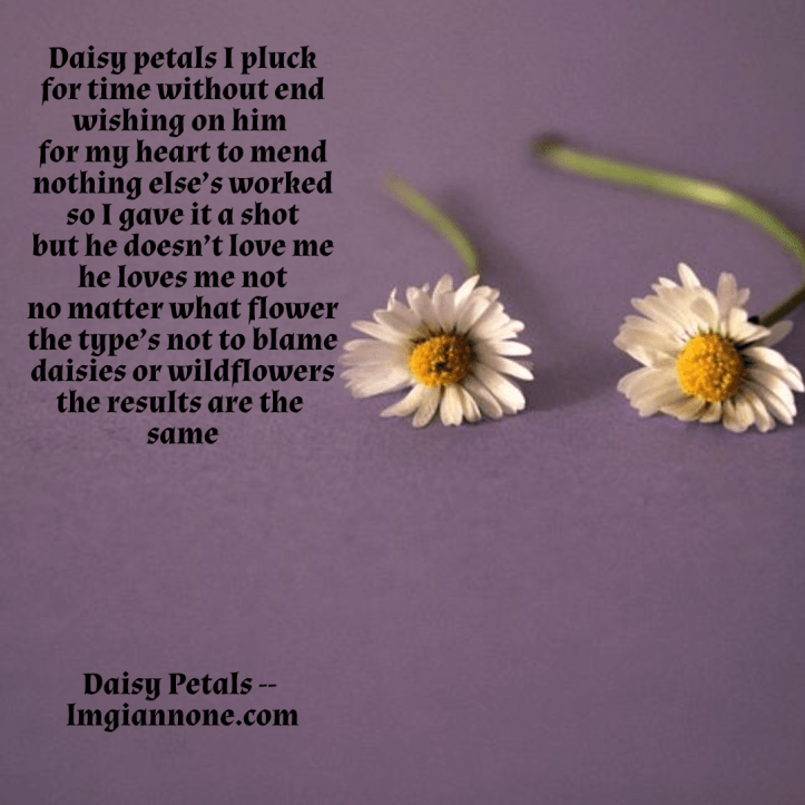 daisy-petals-1-5a875610b2629