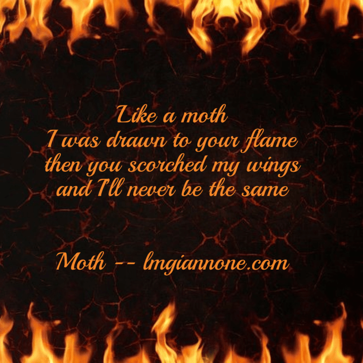 moth-1-5a8b412ecb547