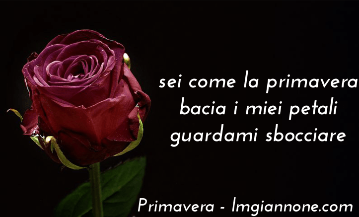 italian-spring-primavera