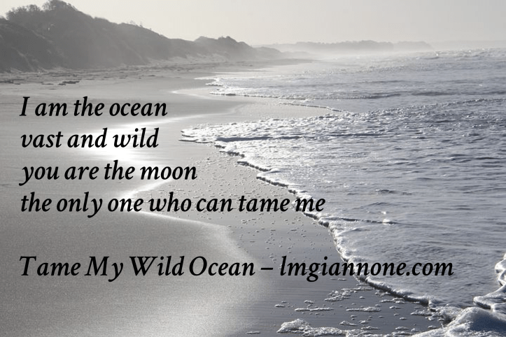 Tame My Wild Ocean