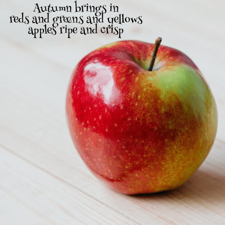 haiku-apples