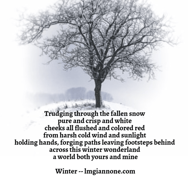 seasonal-winter2-1-5a0dd348c3ec8