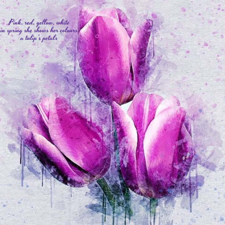 seasonal-haiku-tulip1