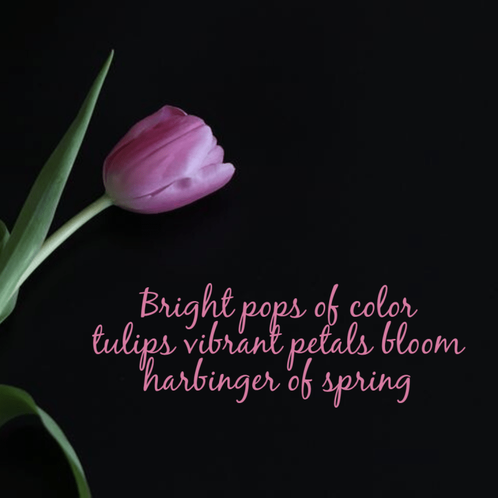 seasonal-spring-haiku-tulip2-1-60413cb699e9b