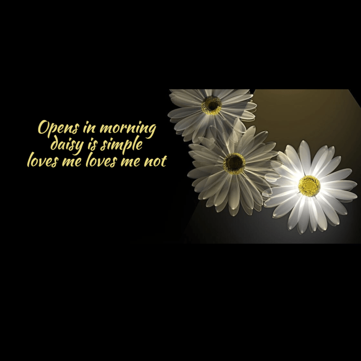 seasonal-haiku-daisies1-1