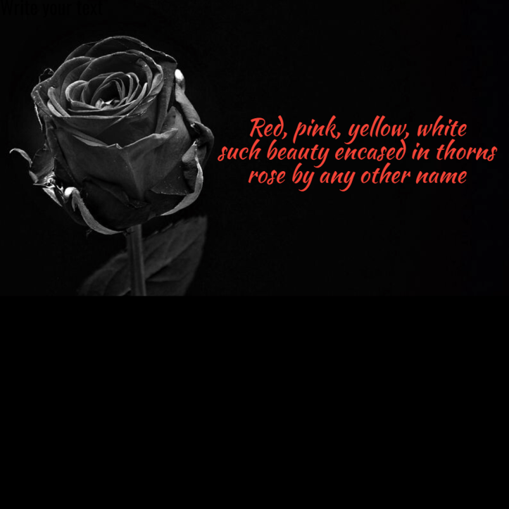 seasonal-haiku-rose1