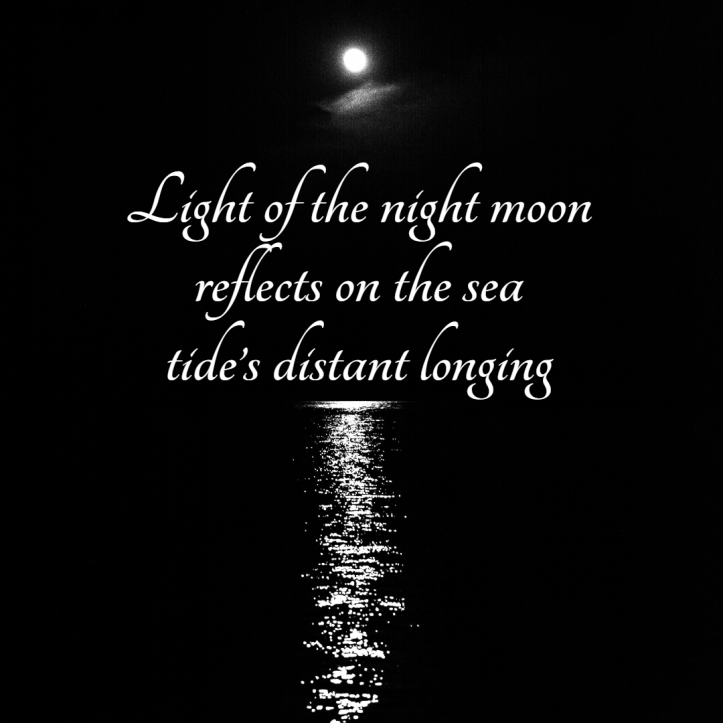 haiku-night-moon