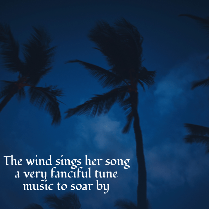 haiku-wind