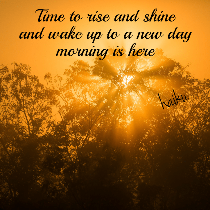 haiku-morning