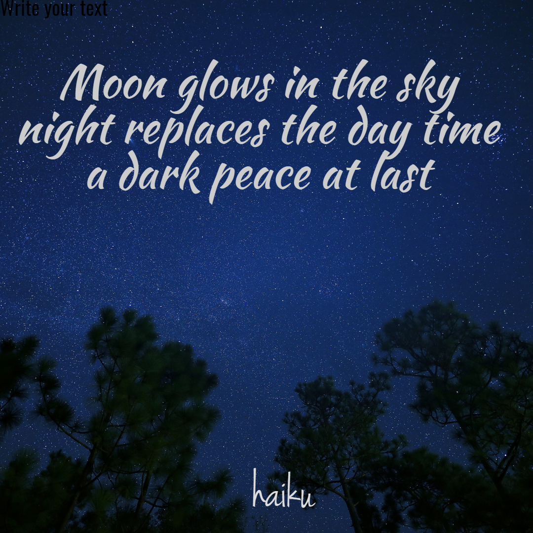 haiku-night