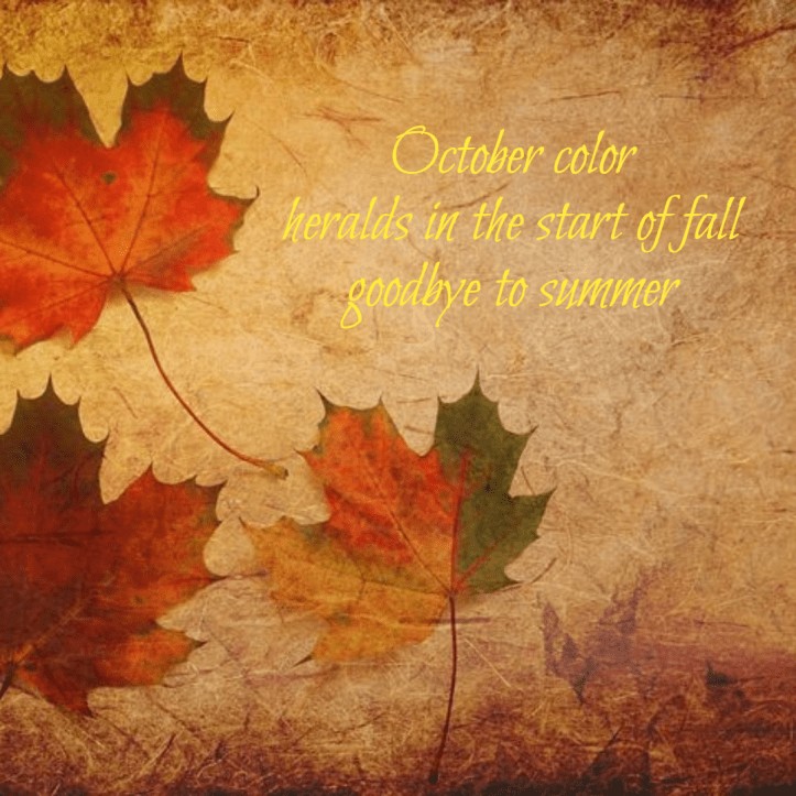 SEASONAL-FALL-HAIKU-october