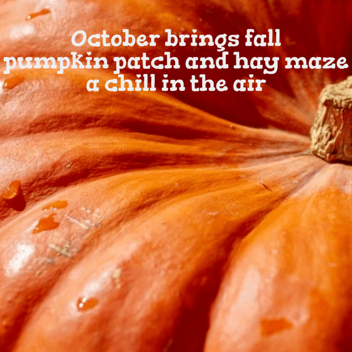 SEASONAL-FALL-HAIKU-pumpkin