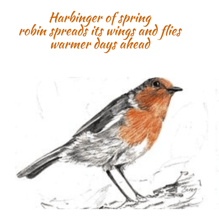 seasonal-spring-haiku-robin