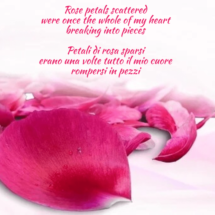 haiku-italian-rosepetals