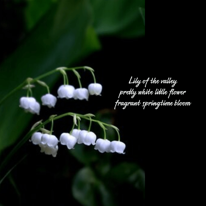 seasonal-spring-haiku-lilyofthevalley-1-6254583862fb6