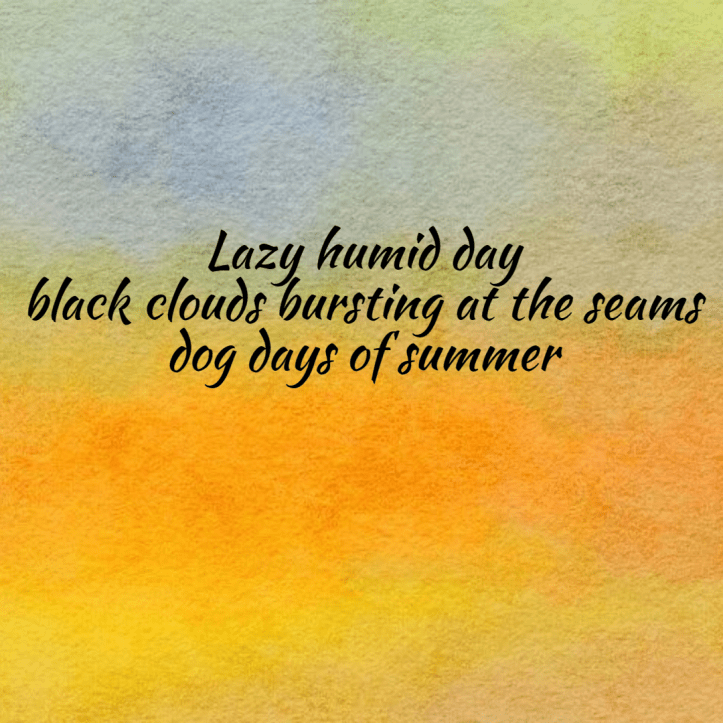 seasonal-summer-haiku-humid