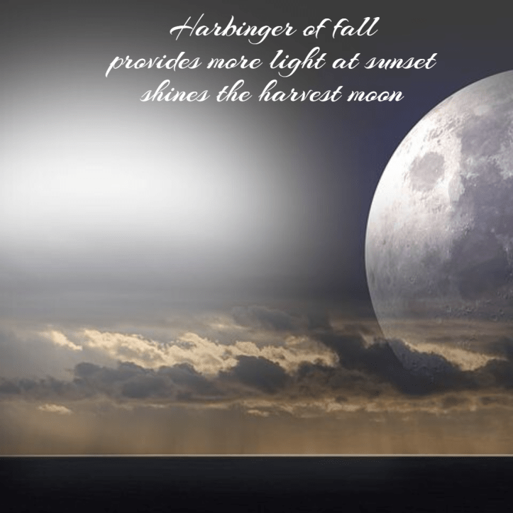 seasonal-fall-haiku-harvest-moon