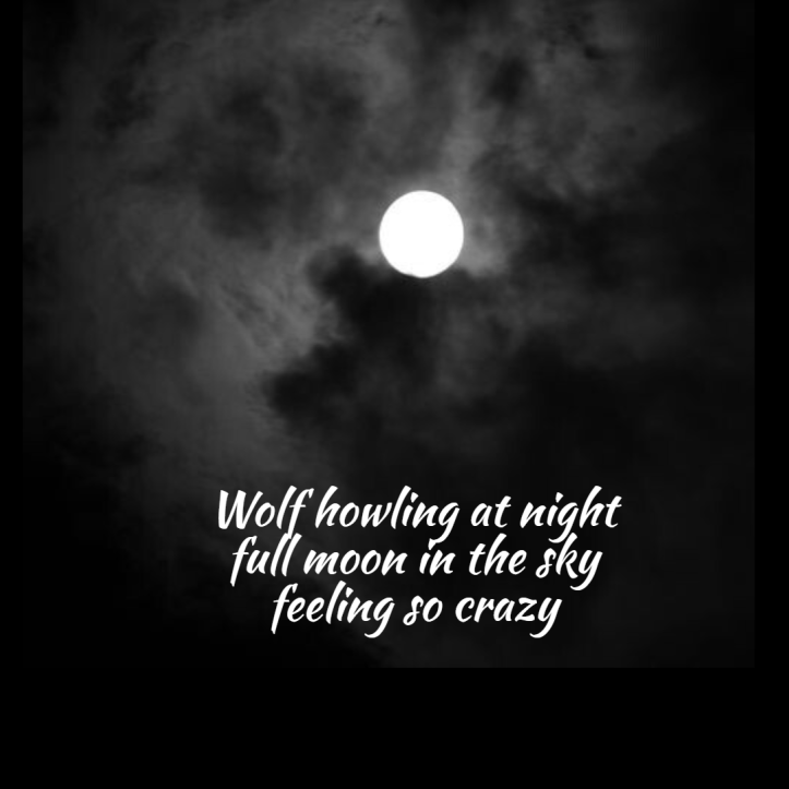 haiku-full-moon